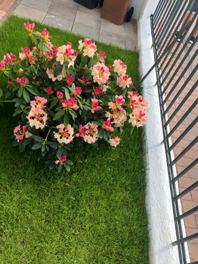 Meierstrasse لوبيك المظهر الخارجي الصورة